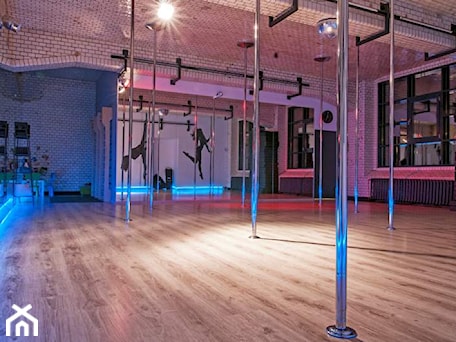 Aranżacje wnętrz - Wnętrza publiczne: Pole Dance Institiute _ Wrocław - Wnętrza publiczne, styl minimalistyczny - Klapińska ARCHITEKTURA WNĘTRZ. Przeglądaj, dodawaj i zapisuj najlepsze zdjęcia, pomysły i inspiracje designerskie. W bazie mamy już prawie milion fotografii!