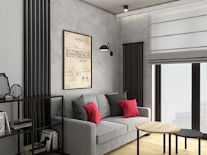 Industrialne mieszkanie dla singla - Salon, styl industrialny - zdjęcie od VINSO Projektowanie Wnętrz
