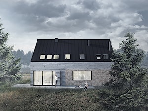 Dom Sitno - Domy, styl nowoczesny - zdjęcie od Szlachta Pracownia Projektowa