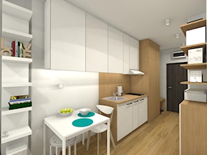 MIKRO APARTAMENT 18,50m2 - Średnia zamknięta szara z zabudowaną lodówką z lodówką wolnostojącą z nablatowym zlewozmywakiem kuchnia dwurzędowa - zdjęcie od Pracownia Projektowa Małgorzata Roszczewska