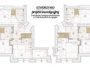 Białystok | Centrum | Projekt inwestycyjny - podział mieszkań na mikrokawalerki - Domy, styl industrialny - zdjęcie od "TWORZYWO" Warsztat Architektury Wnętrz