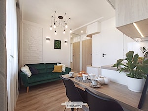 Białystok | Centrum | Projekt inwestycyjny - podział mieszkań na mikrokawalerki - Salon, styl indus ... - zdjęcie od "TWORZYWO" Warsztat Architektury Wnętrz