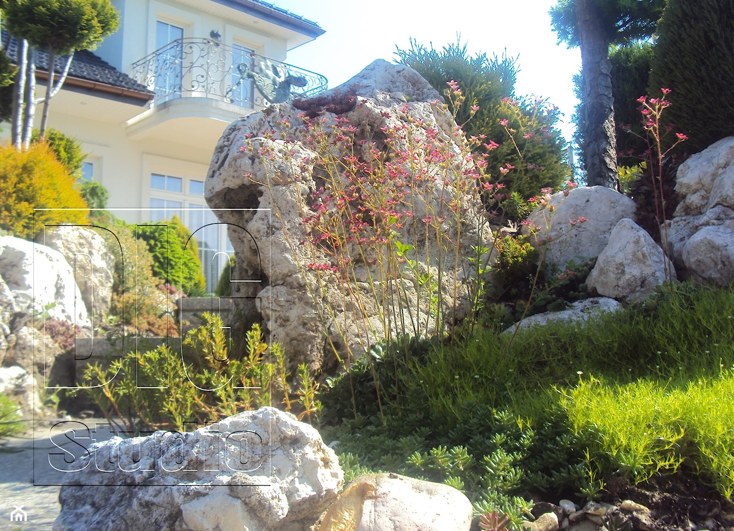 kamień w ogrodzie - Ogród - zdjęcie od digstudio - Homebook