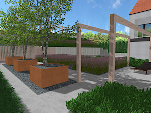 Minimalistyczny ogród traw - Ogród, styl minimalistyczny - zdjęcie od Rock&Flower studio