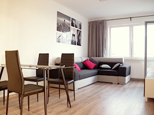 Mieszkanie pod wynajem w Poznaniu - Salon, styl nowoczesny - zdjęcie od Aranżacje wnętrz Aneta Moniuszko