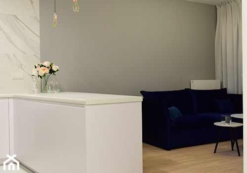Mieszkanie 40m2 Muranów - Mały biały szary salon, styl nowoczesny - zdjęcie od iHome Studio