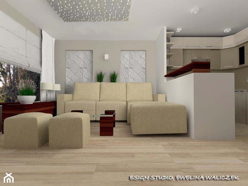 Mieszkanie w bloku w.2 - Salon, styl nowoczesny - zdjęcie od ESIGN