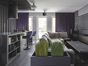 apartament | Poznań - Salon, styl nowoczesny - zdjęcie od jaga_kraupe