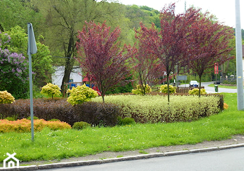 zieleń publiczna - zdjęcie od greenin studio architektury krajobrazu