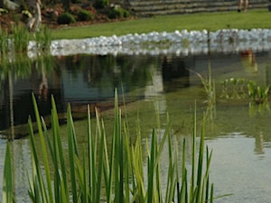 staw kąpielowy basen naturalny - realizacja - zdjęcie od greenin studio architektury krajobrazu