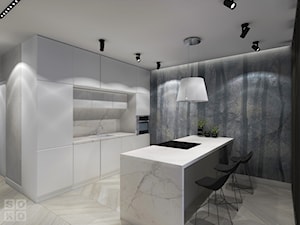 Dom Lubin - Średnia otwarta czarna szara z zabudowaną lodówką z nablatowym zlewozmywakiem kuchnia dwurzędowa z marmurem nad blatem kuchennym - zdjęcie od Studio Soko