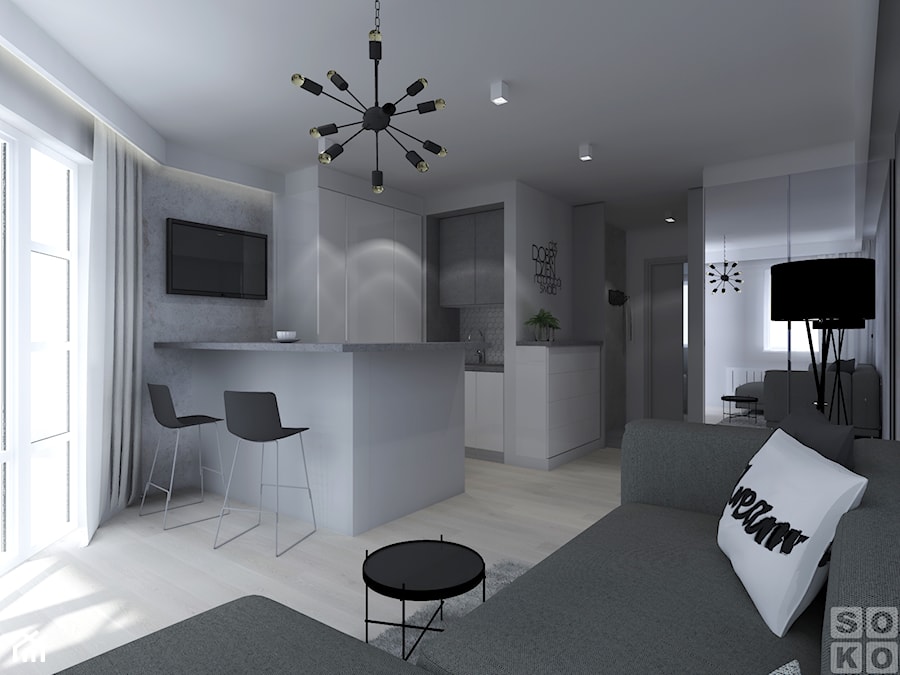 Mieszkanie w Legnicy - Salon, styl nowoczesny - zdjęcie od Studio Soko