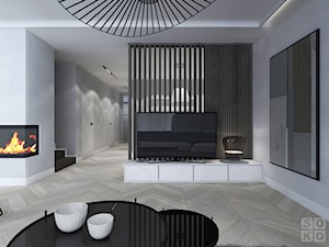 Dom Lubin - Duży szary salon, styl nowoczesny - zdjęcie od Studio Soko