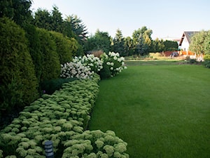 Rearanżacja ogrodu w Nowym Dworze Mazowieckim​ - Ogród, styl tradycyjny - zdjęcie od MM.Krajobrazy - Magdalena Możdżeń