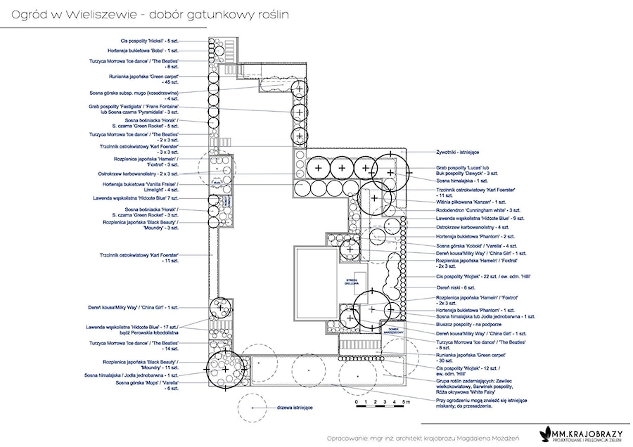 Ogród nowoczesny w Wieliszewie, Dobór gatunkowy roślin - zdjęcie od MM.Krajobrazy - Magdalena Możdżeń
