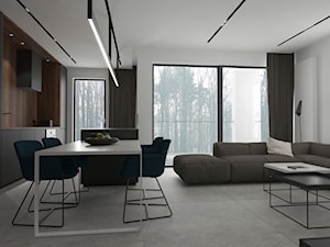 Mieszkanie w Gdyni - Salon, styl minimalistyczny - zdjęcie od MUKA MARCIN KUPTEL