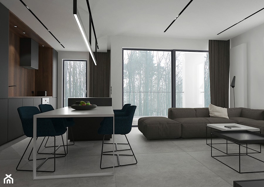 Mieszkanie w Gdyni - Salon, styl minimalistyczny - zdjęcie od MUKA MARCIN KUPTEL