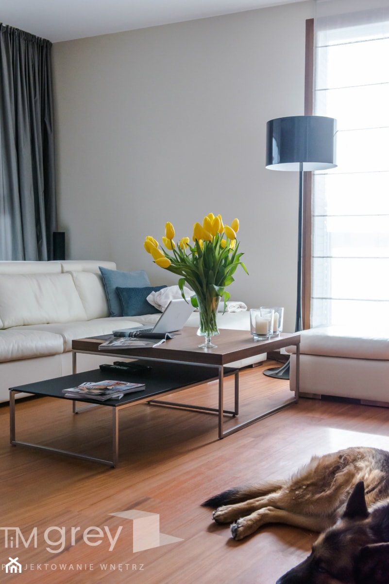Wilanowski Apartament - Salon, styl nowoczesny - zdjęcie od TiM Grey Projektowanie Wnętrz