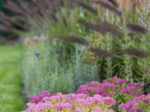 Ogród trawiasty - Ogród, styl minimalistyczny - zdjęcie od Naturalnie Studio - pracownia architektury krajobrazu