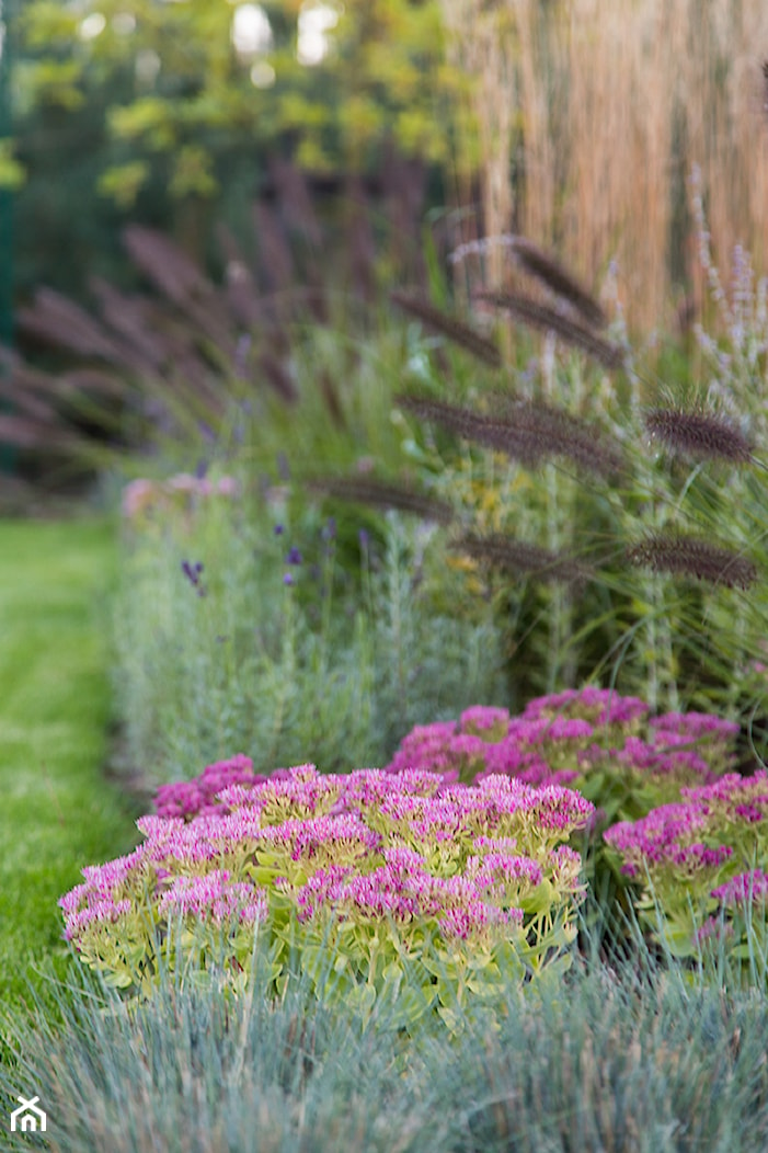 Ogród trawiasty - Ogród, styl minimalistyczny - zdjęcie od Naturalnie Studio - pracownia architektury krajobrazu - Homebook
