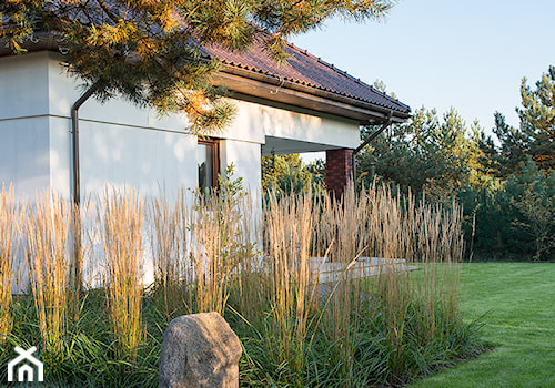 Ogród trawiasty - Duży ogród za domem, styl nowoczesny - zdjęcie od Naturalnie Studio - pracownia architektury krajobrazu