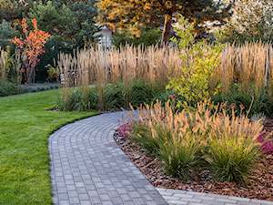 Ogród trawiasty - Ogród, styl minimalistyczny - zdjęcie od Naturalnie Studio - pracownia architektury krajobrazu