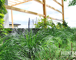 Taras połączony z ogrodem - zdjęcie od Hibner Studio Pracownia Architektury Krajobrazu - Homebook