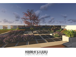 Projekt ogrodu minimalistycznego - zdjęcie od Hibner Studio Pracownia Architektury Krajobrazu