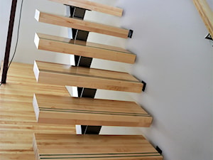 Schody jednobelkowe, belka nierdzewna w linii prostej - Schody, styl nowoczesny - zdjęcie od TREPDOOR