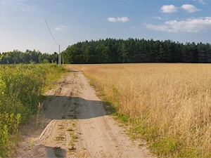 - zdjęcie od toprojekt