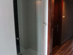 Drzwi prysznicowe - zdjęcie od Mojeszklo.pl