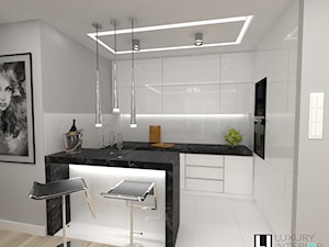Salon z aneksem w mieszkaniu 70m2 - Mała otwarta biała szara z zabudowaną lodówką kuchnia w kształcie litery g, styl nowoczesny - zdjęcie od LUXURY INTERIOR