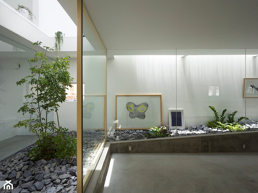 Dom dla roślin - Wnętrza publiczne, styl minimalistyczny - zdjęcie od Homebook Design