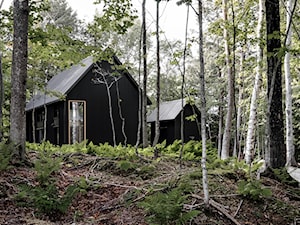 W klimacie północy – niezwykły dom w lesie