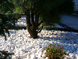 Ogród Thassos - Z kamienną nawierzchnią ogród - zdjęcie od Skalite Kamień