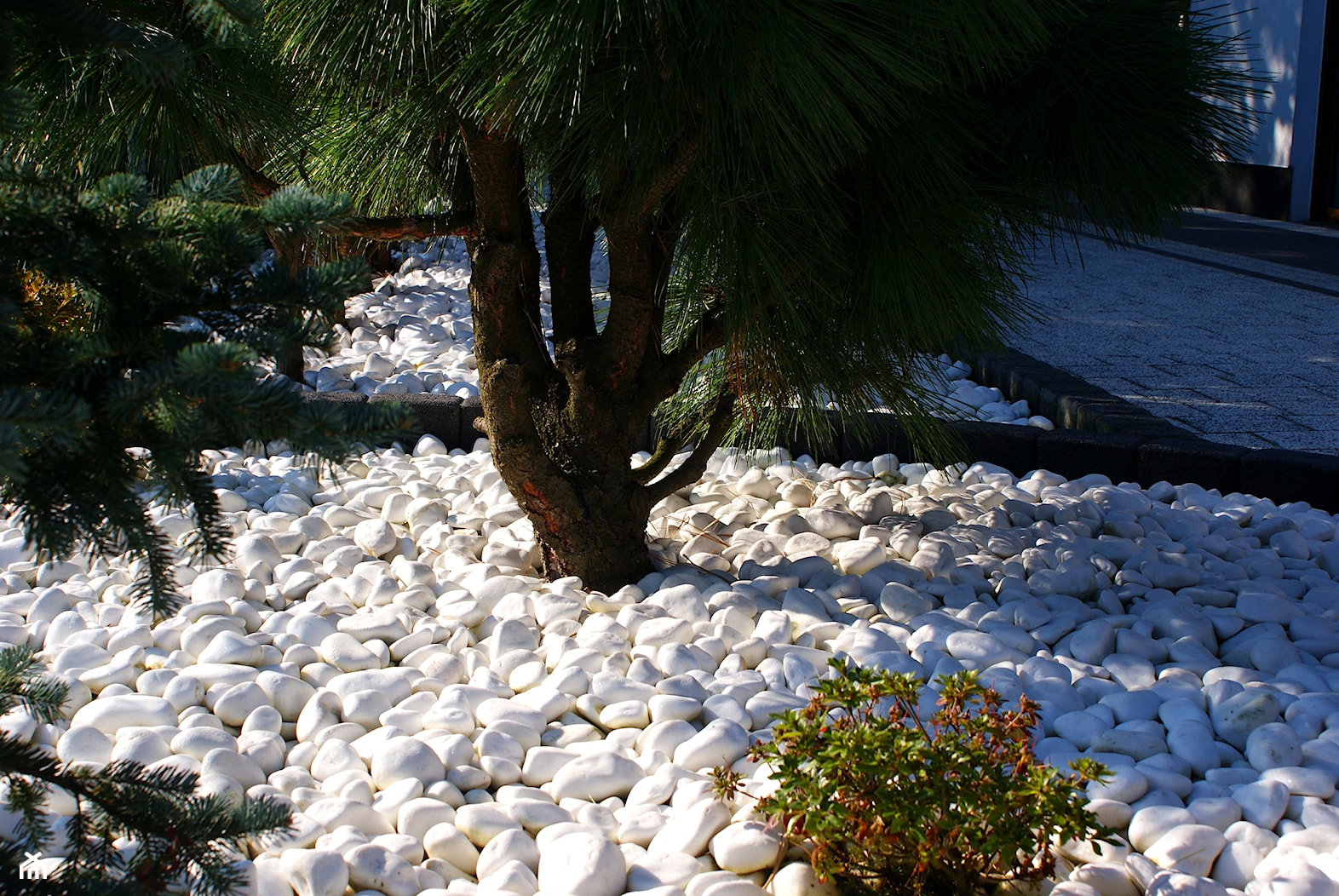 Ogród Thassos - Z kamienną nawierzchnią ogród - zdjęcie od Skalite Kamień - Homebook