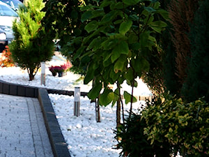 Ogród Thassos - Z nawierzchnią pokrytą kostką brukową z kamienną nawierzchnią ogród - zdjęcie od Skalite Kamień