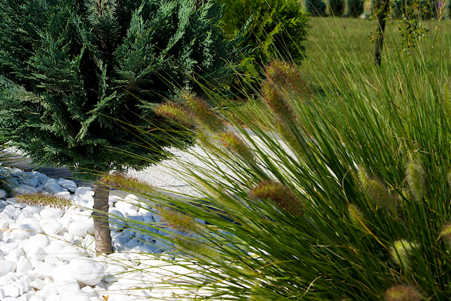 Biały otoczak i trawa - zdjęcie od Skalite Kamień