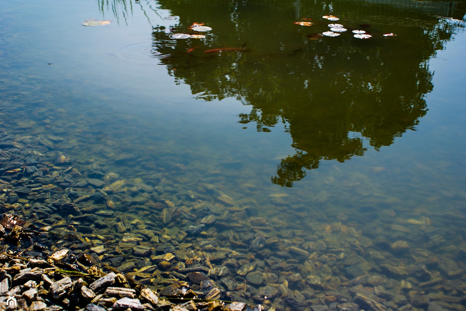 Oczko wodne z podsypką z kory - zdjęcie od Skalite Kamień - Homebook