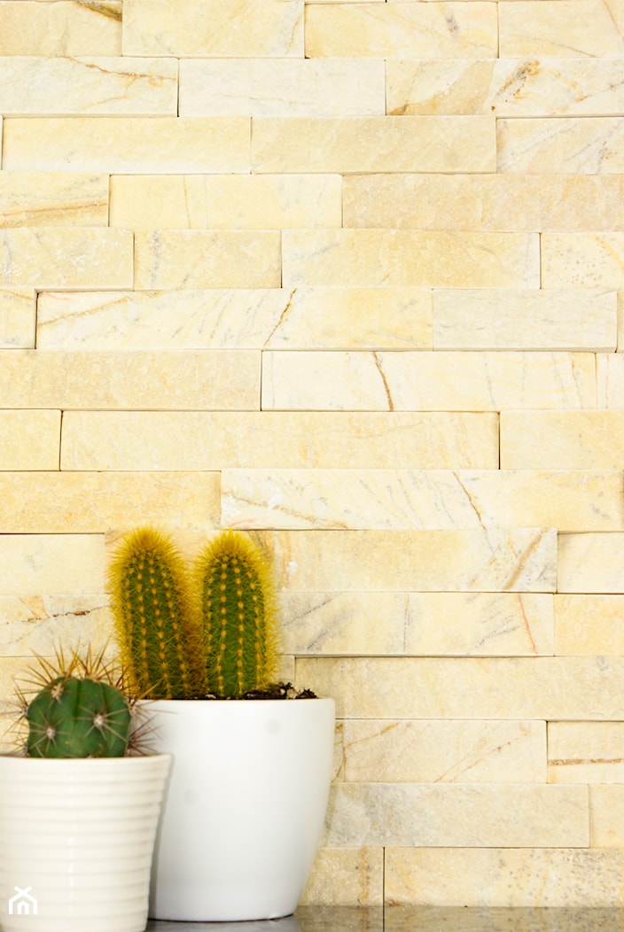 Naturalne panele kamienne na ściany i elewacje Cream - zdjęcie od Skalite Kamień - Homebook