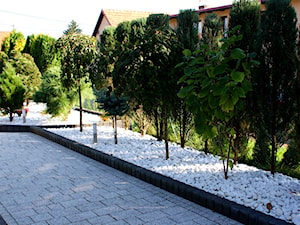 Ogród Thassos - Średni z nawierzchnią pokrytą kostką brukową ogród - zdjęcie od Skalite Kamień