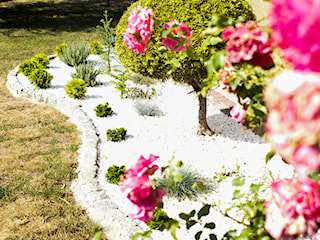 Kolorowy ogród na białym kamieniu dekoracyjnym