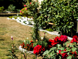 Kolorowe ogrody z białym kamieniem dekoracyjnym - zdjęcie od Skalite Kamień