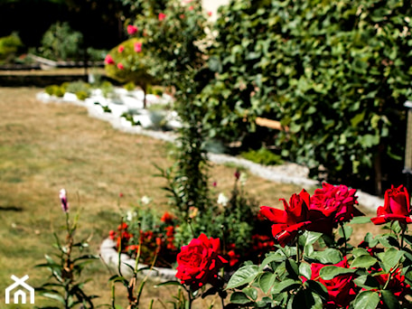 Aranżacje wnętrz - Ogród: Kolorowe ogrody z białym kamieniem dekoracyjnym - Skalite Kamień. Przeglądaj, dodawaj i zapisuj najlepsze zdjęcia, pomysły i inspiracje designerskie. W bazie mamy już prawie milion fotografii!