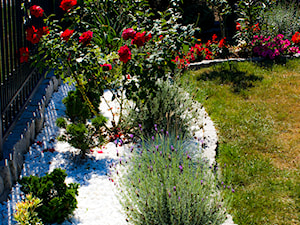 Kolorowe ogrody z białym kamieniem dekoracyjnym - zdjęcie od Skalite Kamień