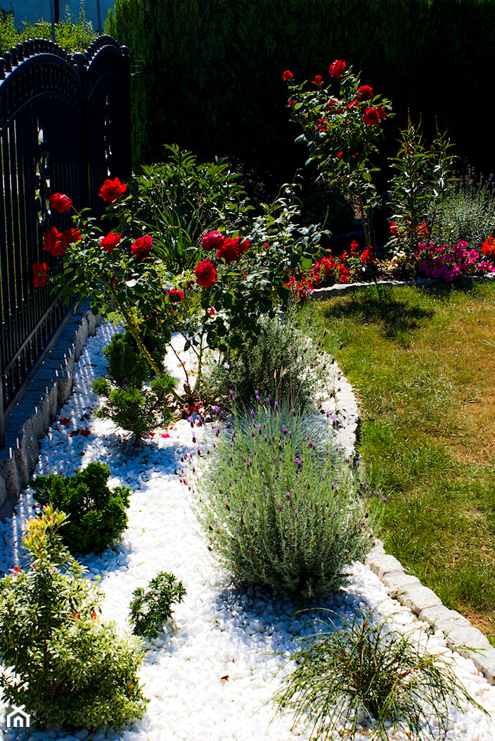 Kolorowe ogrody z białym kamieniem dekoracyjnym - zdjęcie od Skalite Kamień - Homebook