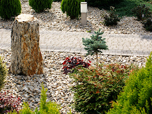Kora w ogrodzie - zdjęcie od Skalite Kamień