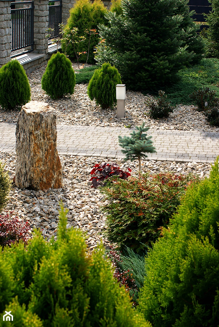 Kora w ogrodzie - zdjęcie od Skalite Kamień - Homebook