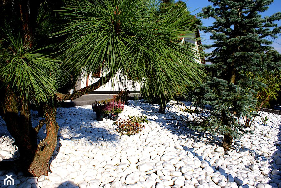Ogród Thassos - Z kamienną nawierzchnią ogród - zdjęcie od Skalite Kamień