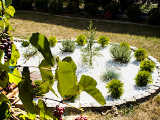 Kolorowy ogród na białym kamieniu dekoracyjnym